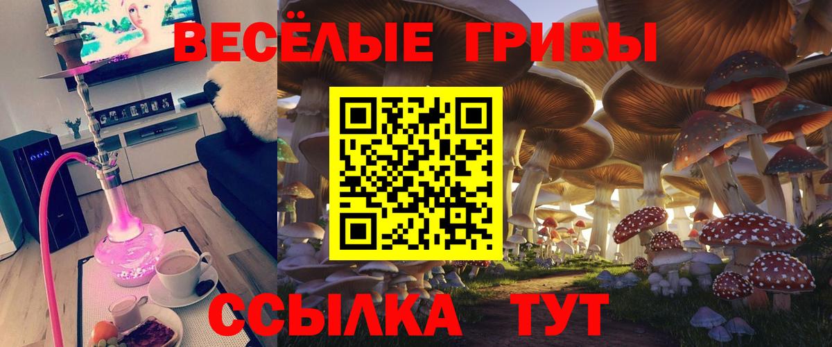 Галлюциногенные грибы мицелий Карпинск