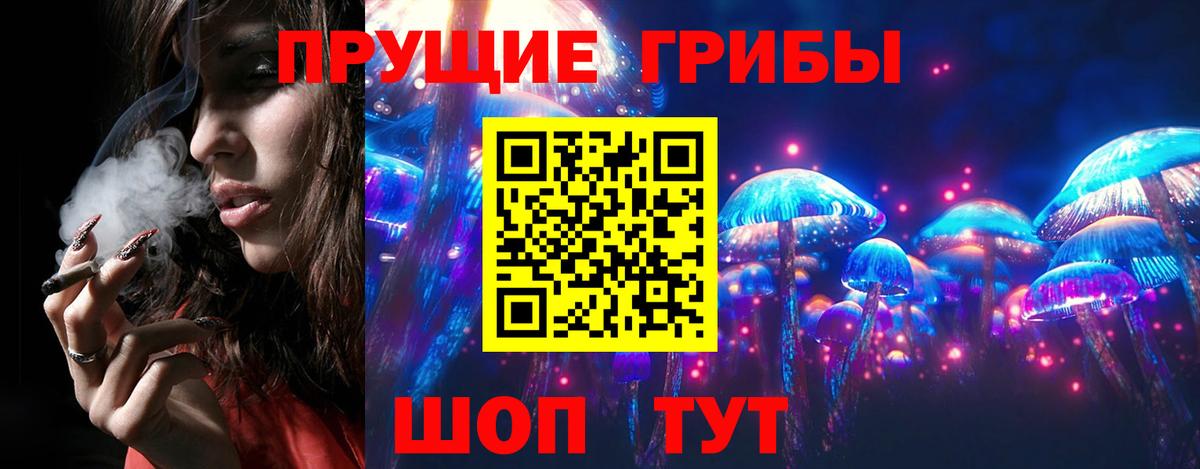 Карпинск  Псилоцибиновые грибы Cubensis  Вход с VPN 
